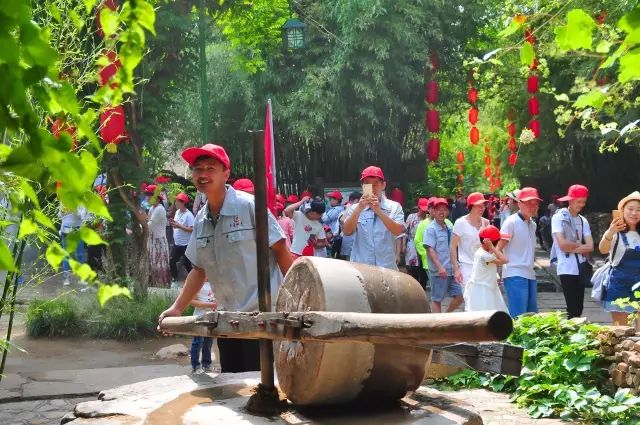 廈門春晚直播，探索自然美景，發(fā)現(xiàn)內(nèi)心的寧靜之旅