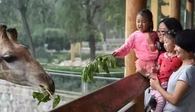 石家莊動物園最新票價信息更新