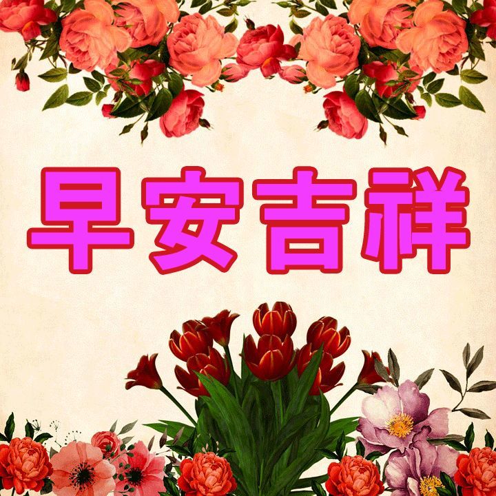 重生之軍長(zhǎng)早上好，自然美景的治愈之旅探索