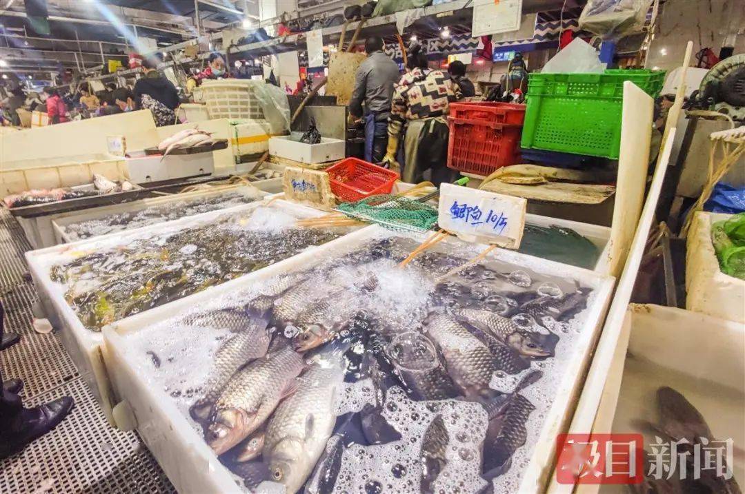 武漢白沙洲最新魚價走勢，市場波動下的深度觀察與反思