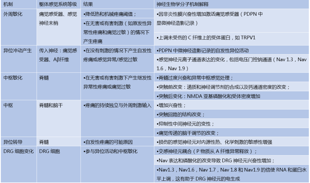 新奧門最準(zhǔn)資料大全,精細(xì)化方案決策_(dá)VXC82.172特色版