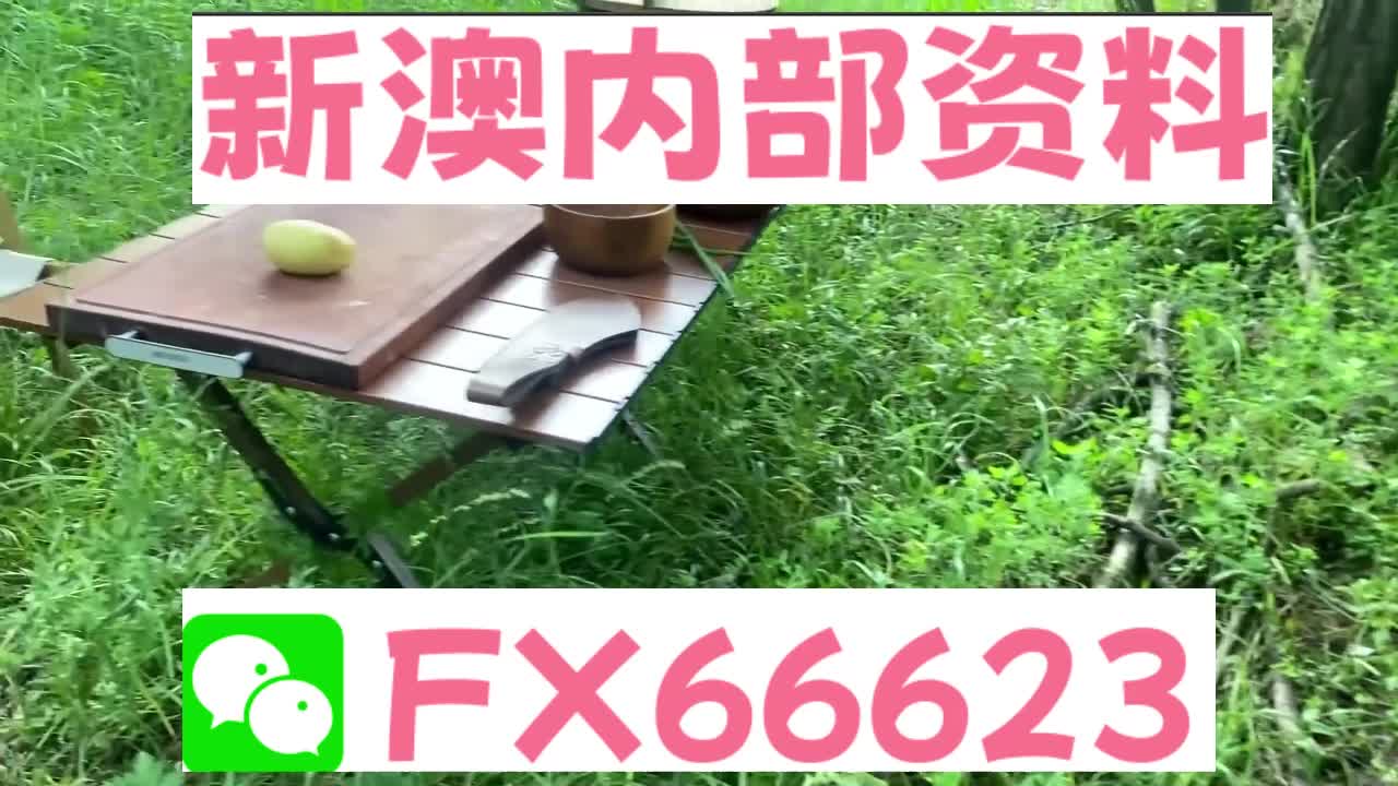 新澳精準(zhǔn)內(nèi)部碼資料期期準(zhǔn),穩(wěn)固執(zhí)行方案計(jì)劃_UXD82.722零售版