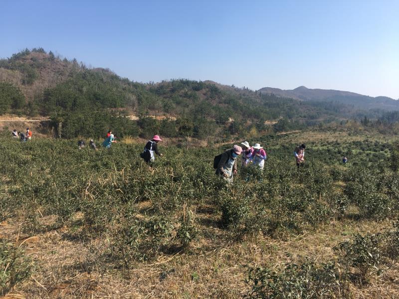 億陽集團科技領(lǐng)航重塑未來生活最新動態(tài)報道