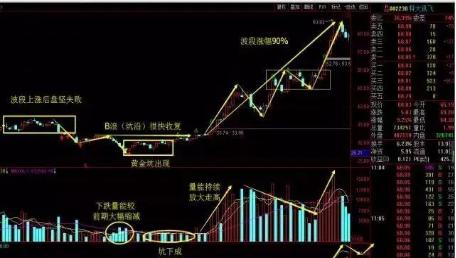 黃金法眼最新章節(jié)揭秘、解析與期待