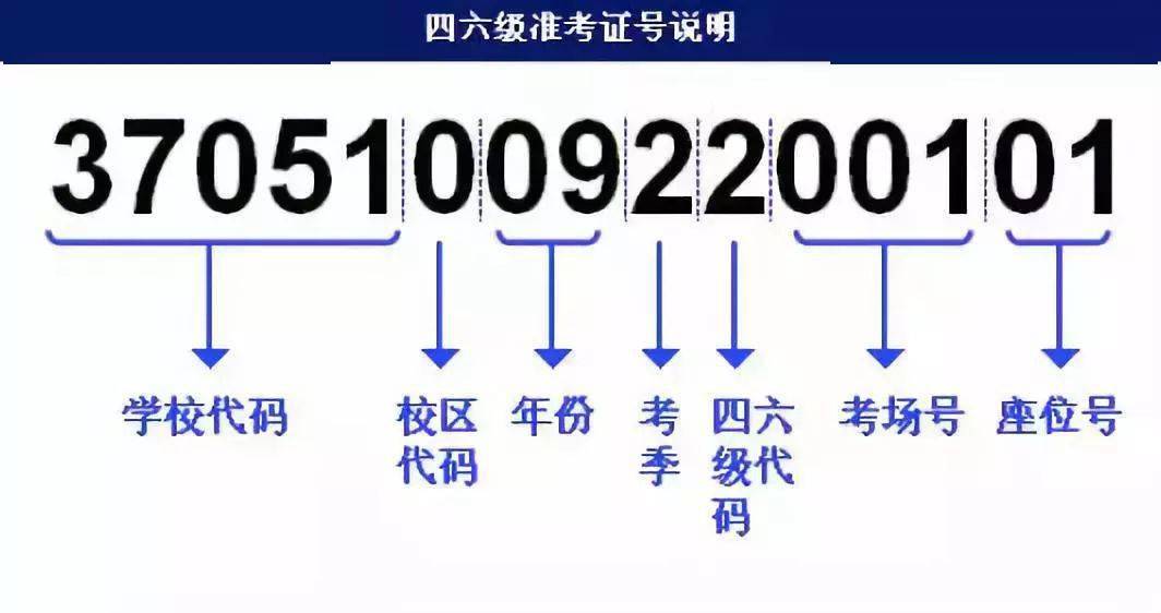 新澳門管家婆資料正版大全,策略優(yōu)化計劃_OYY50.896知識版