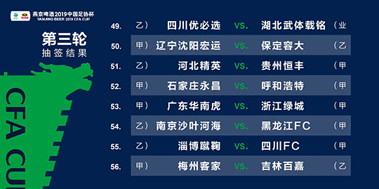 2024新澳精準(zhǔn)資料免費(fèi)提供,靈活執(zhí)行方案_ZWL29.155極致版