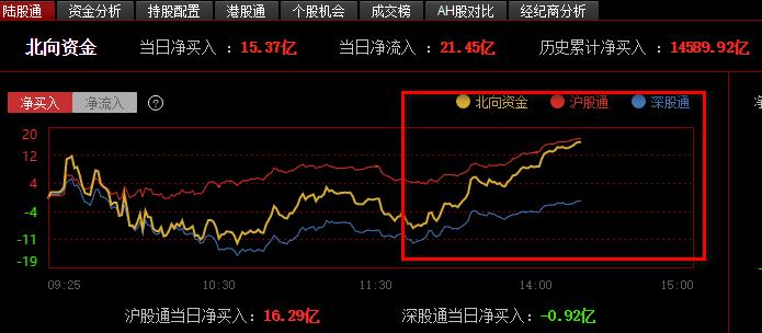 小巷深處的驚喜，600063特色小店最新動態(tài)與獨(dú)家消息揭秘